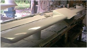 Canard after the third coat