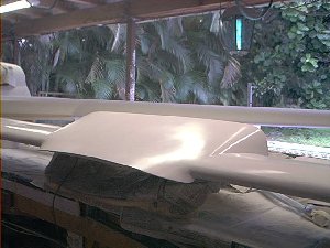 Canard after the third coat