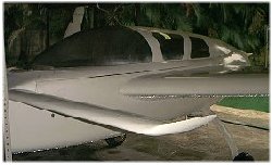 after polishing the canard